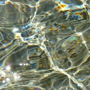 Meet your Posher, Aidyn